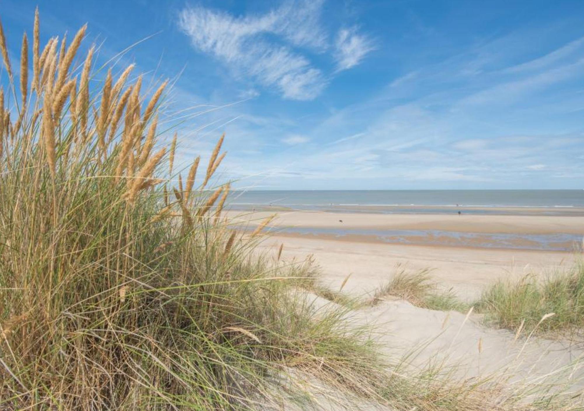 Salty - Vakantiehuisje Op De Grens Van Bredene-De Haan Екстер'єр фото